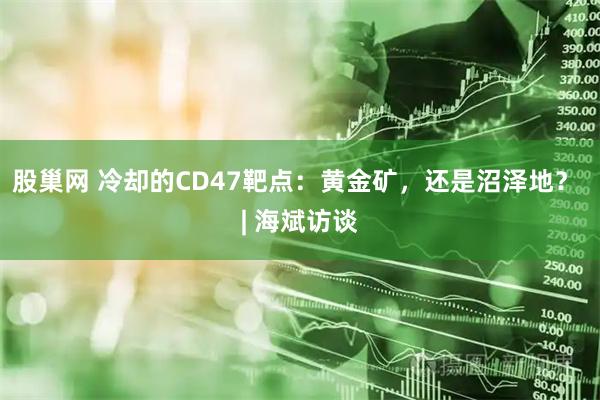 股巢网 冷却的CD47靶点：黄金矿，还是沼泽地？ | 海斌访谈