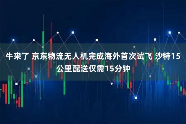 牛来了 京东物流无人机完成海外首次试飞 沙特15公里配送仅需15分钟