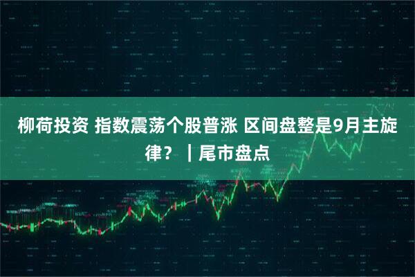 柳荷投资 指数震荡个股普涨 区间盘整是9月主旋律?|尾市盘点